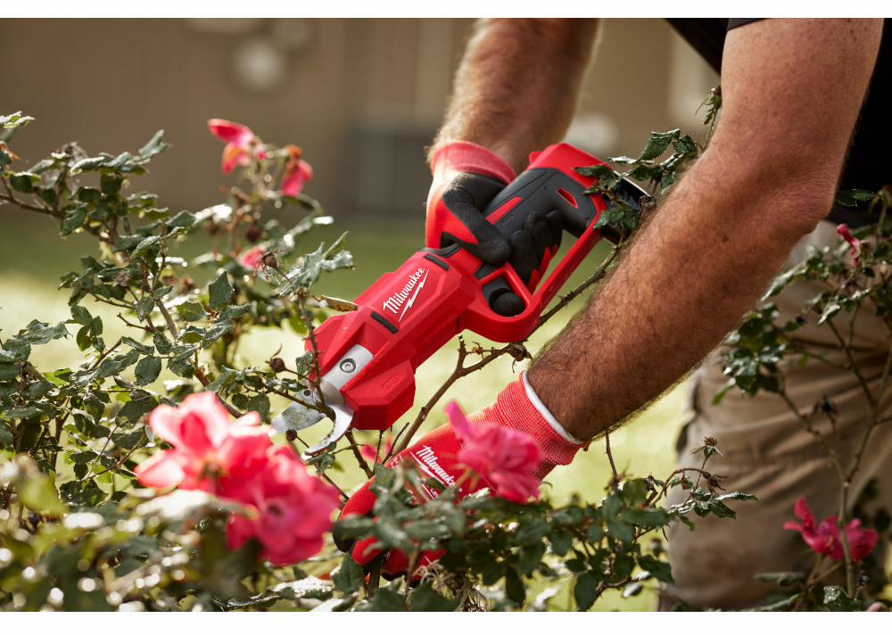 Gallery Image 1 - 4515350