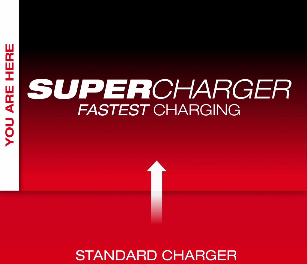 Gallery Image 5 - 4511024