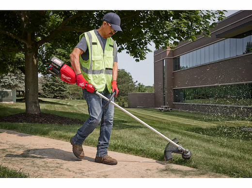 Gallery Image 6 - 4515400