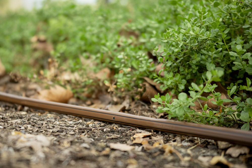 Gallery Image 7 - 4628402