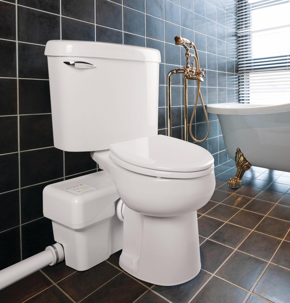 Gallery Image 2 - 1585102