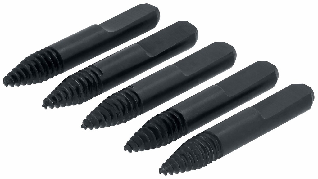 Gallery Image 1 - 4491480