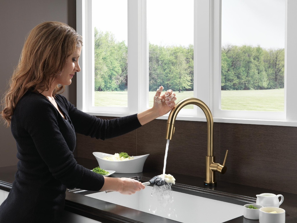 Gallery Image 7 - 3060486