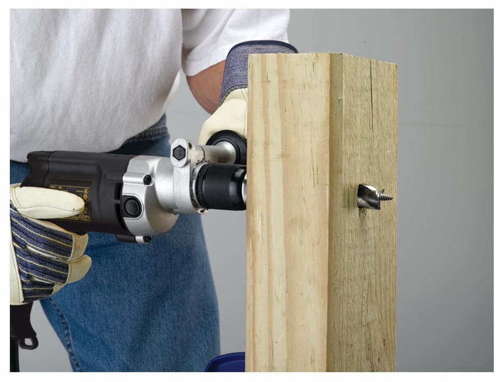 Gallery Image 5 - 4496230