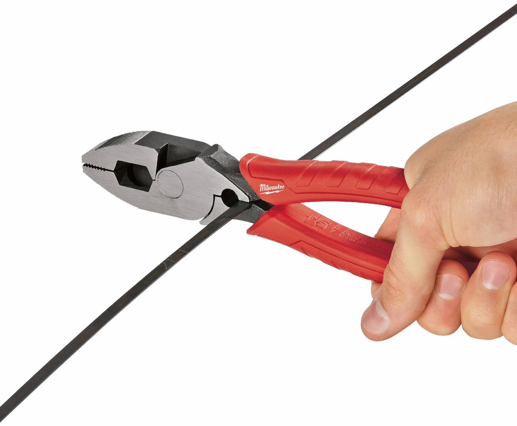 Gallery Image 10 - 4526897