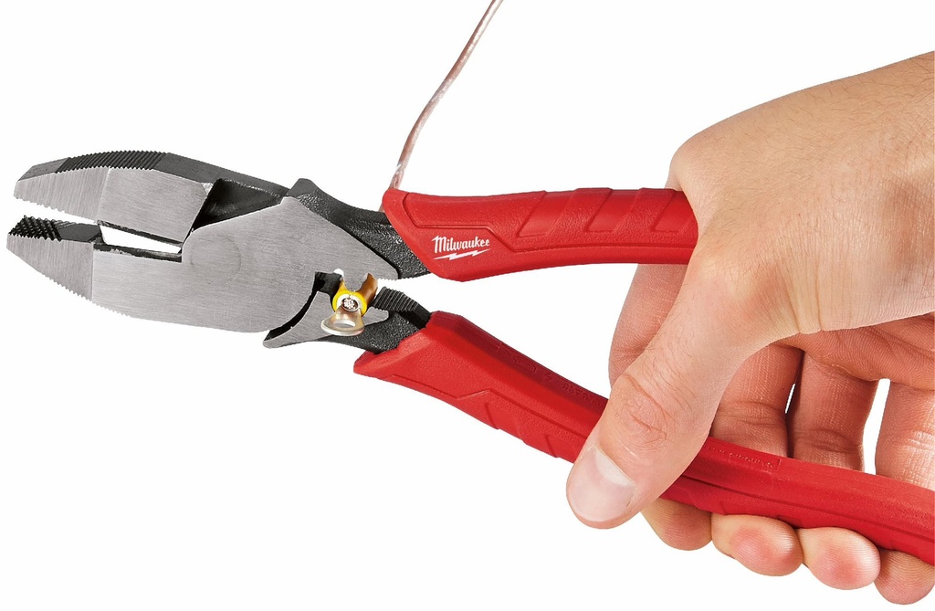 Gallery Image 11 - 4526897