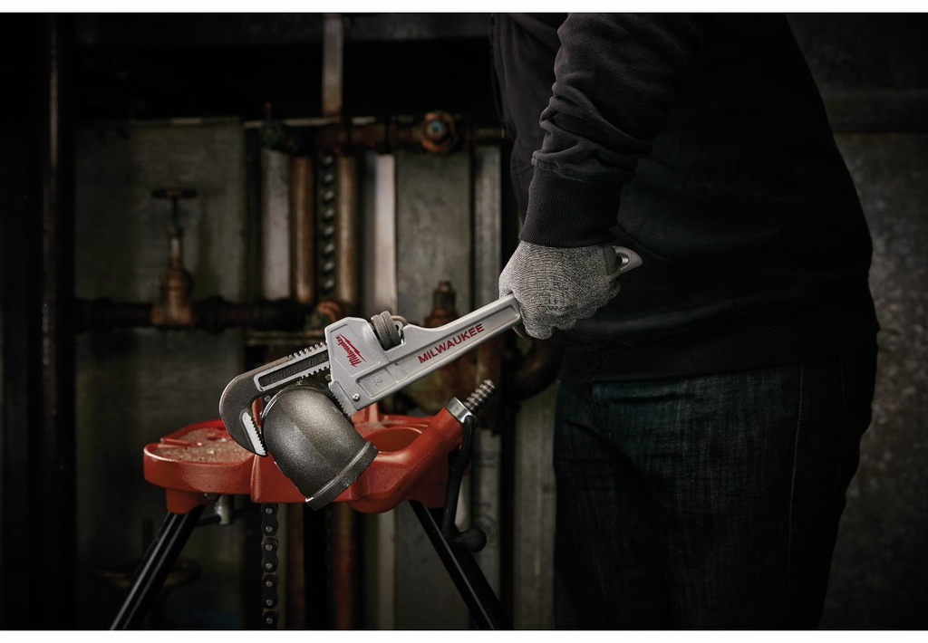 Gallery Image 2 - 4526876