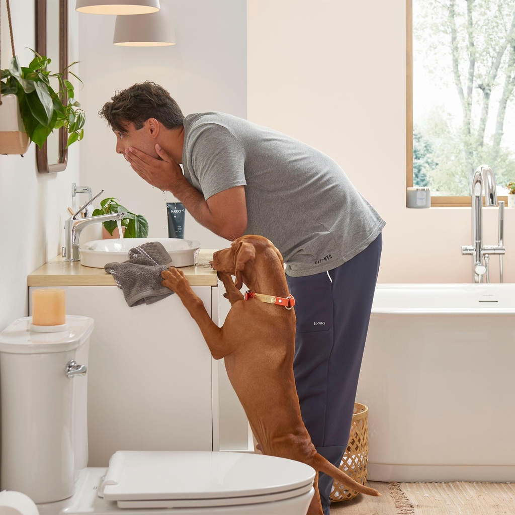 Gallery Image 2 - 1304956