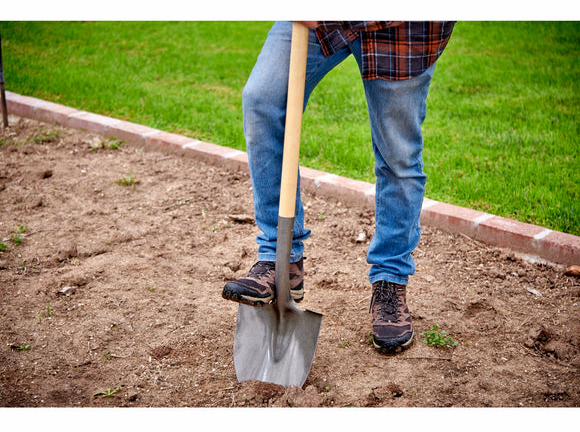 Gallery Image 2 - 5431000