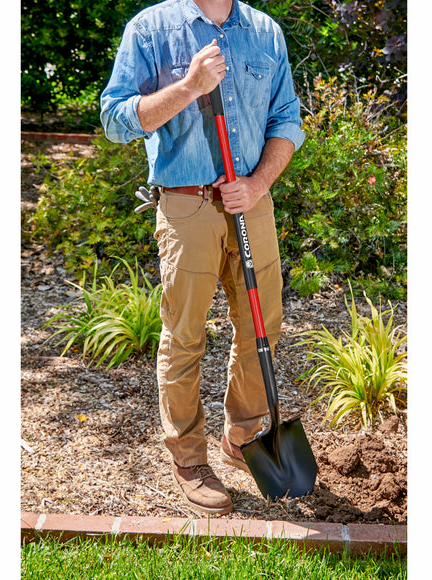 Gallery Image 2 - 5430985