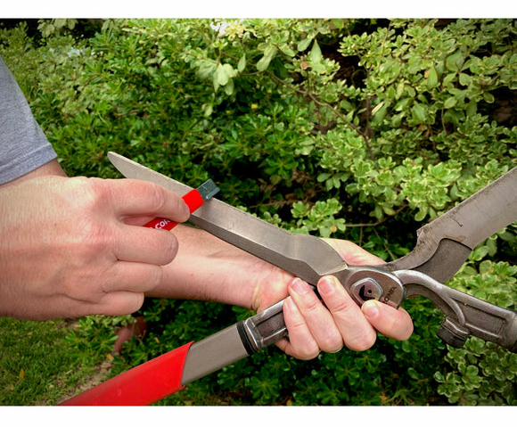 Gallery Image 3 - 5431600