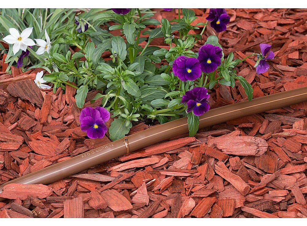 Gallery Image 6 - 4628404