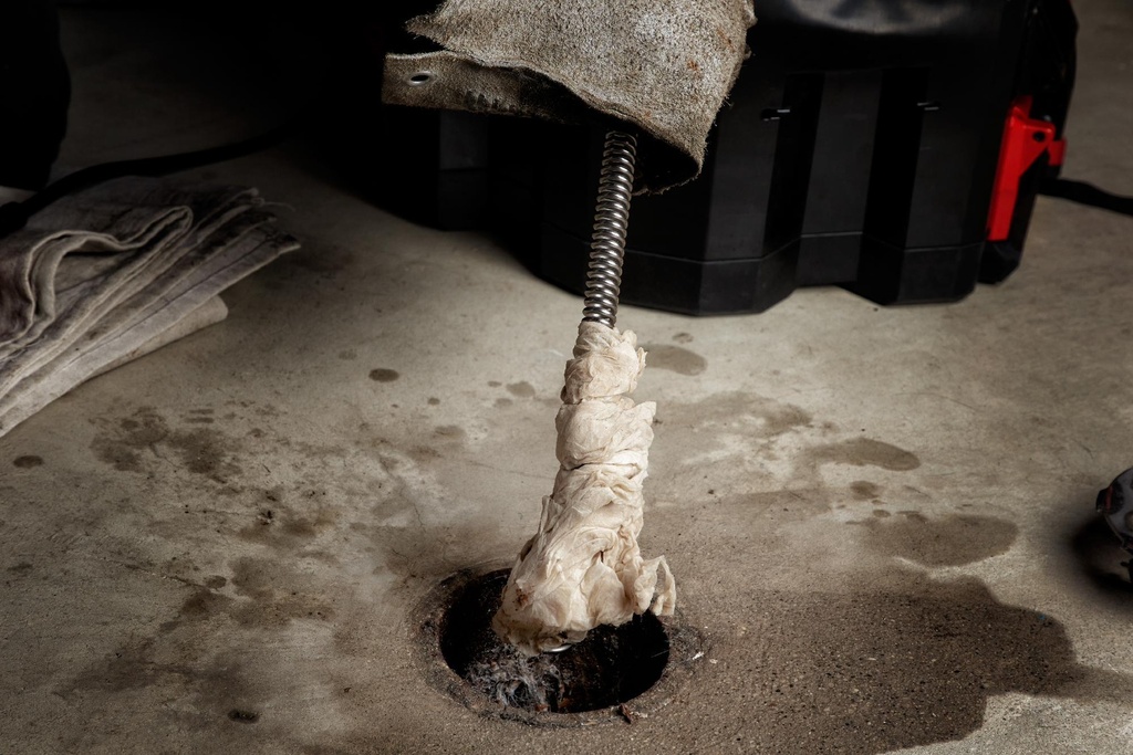 Gallery Image 19 - 4520910