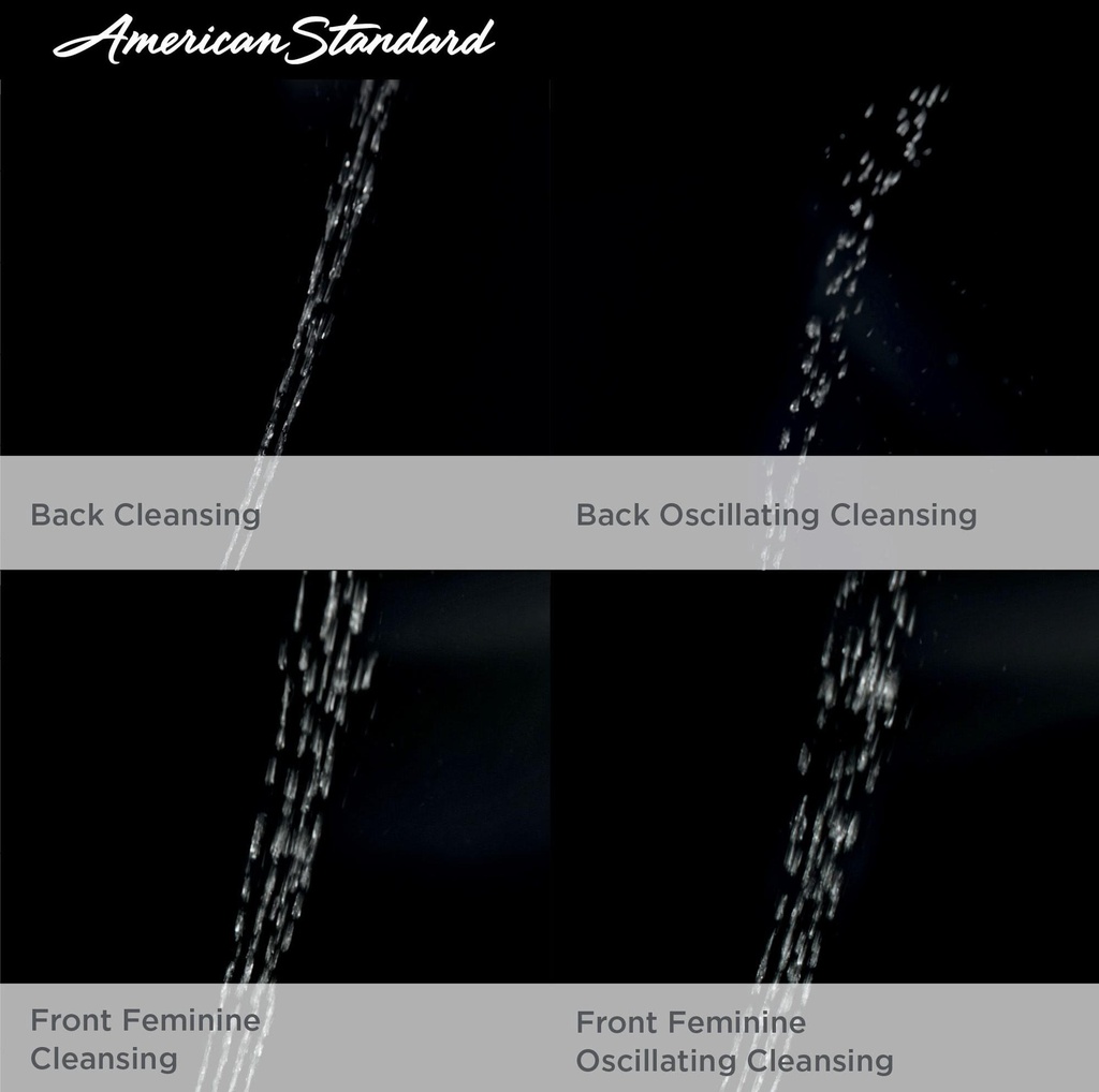 Gallery Image 3 - 1306400