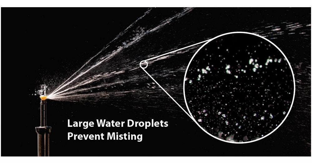 Gallery Image 3 - 4621580