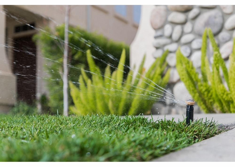 Gallery Image 4 - 4621580