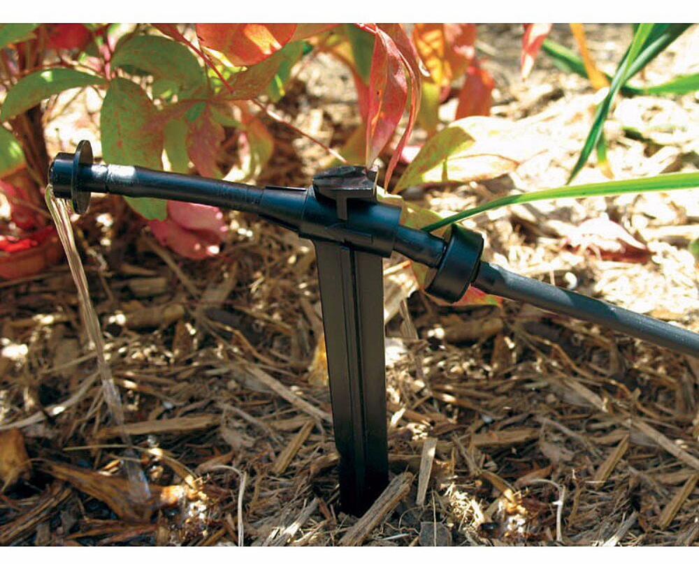 Gallery Image 7 - 4628100