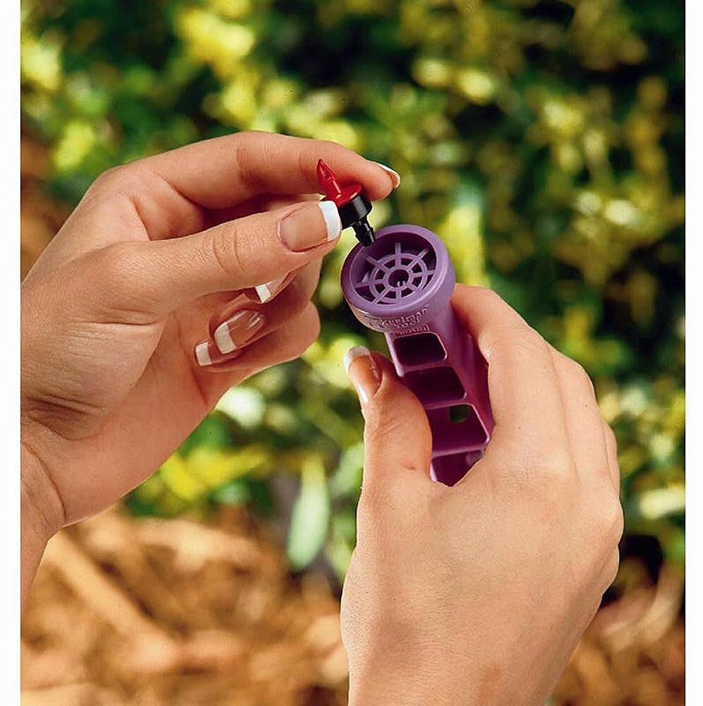 Gallery Image 9 - 4628100