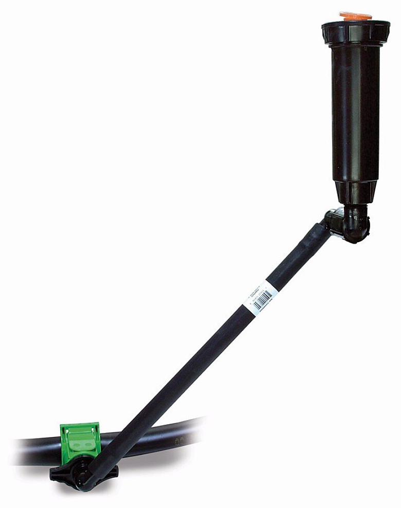 Gallery Image 5 - 4620985