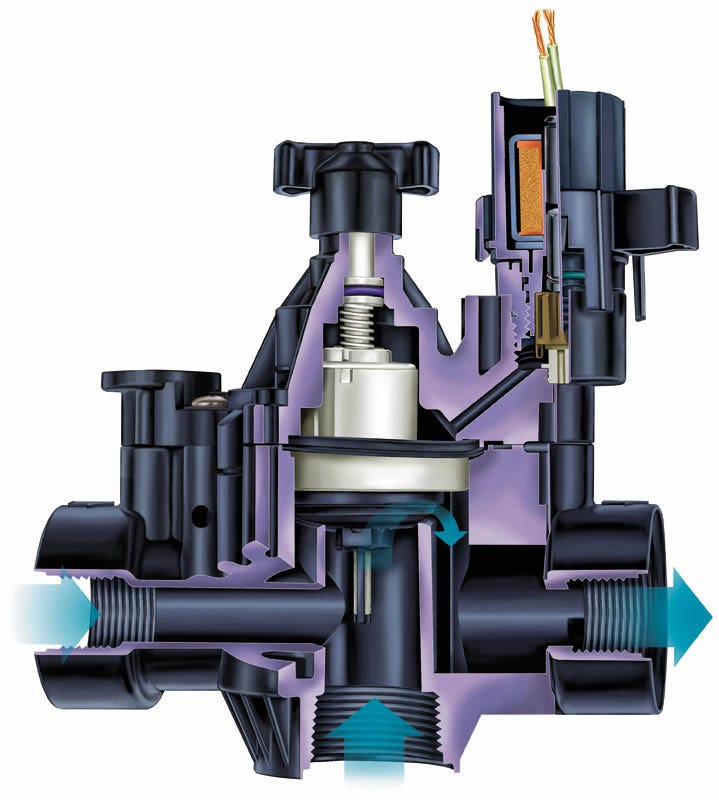 Gallery Image 5 - 4622125