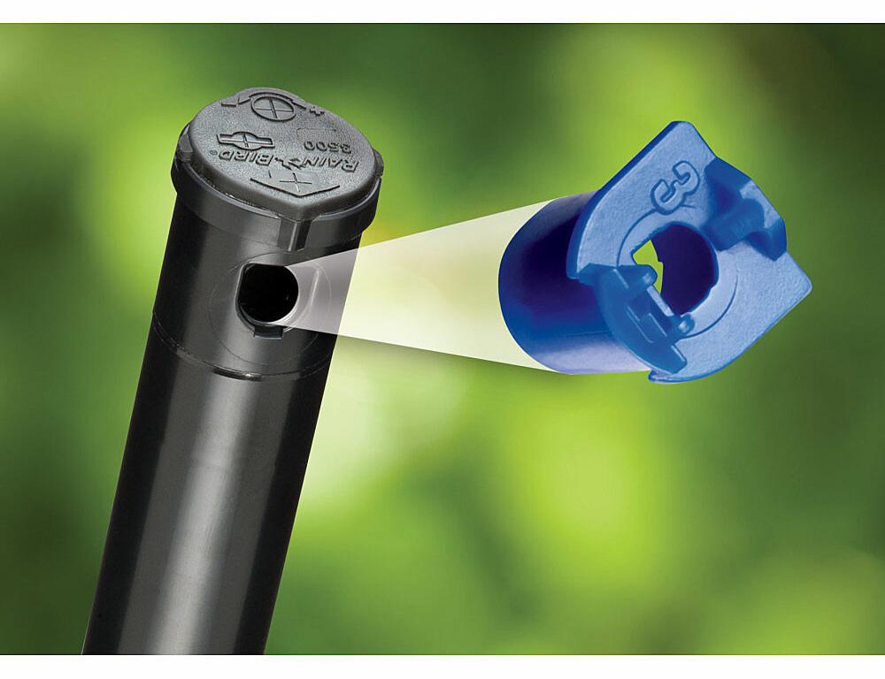 Gallery Image 5 - 4620525