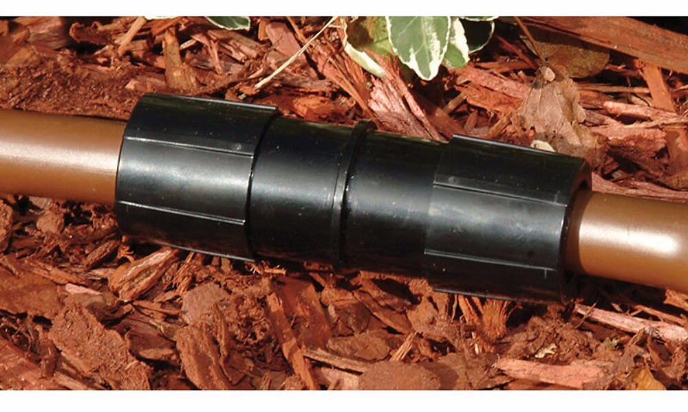 Gallery Image 9 - 4625210