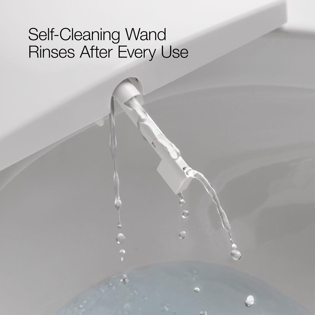 Gallery Image 16 - 2909729