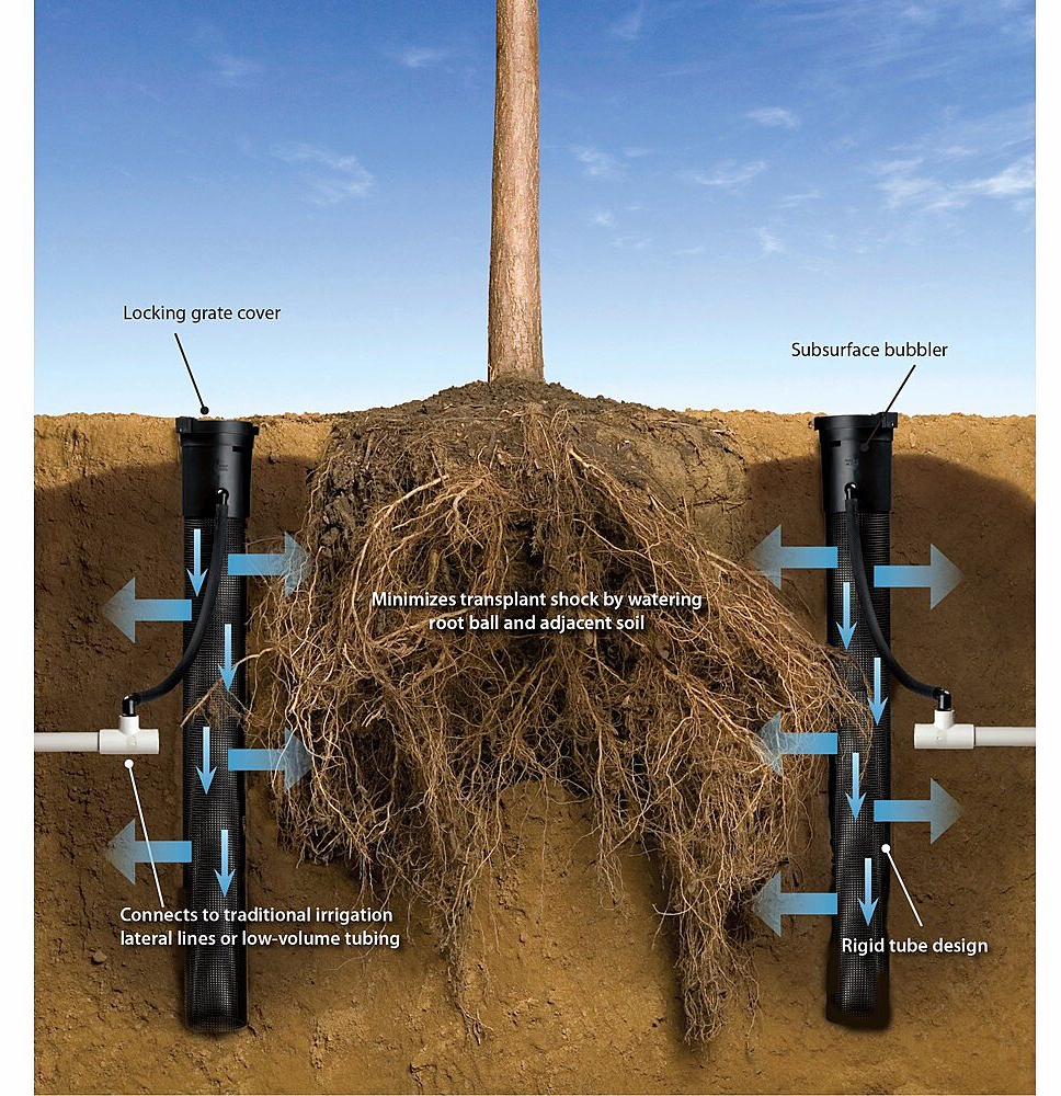 Gallery Image 6 - 4622520