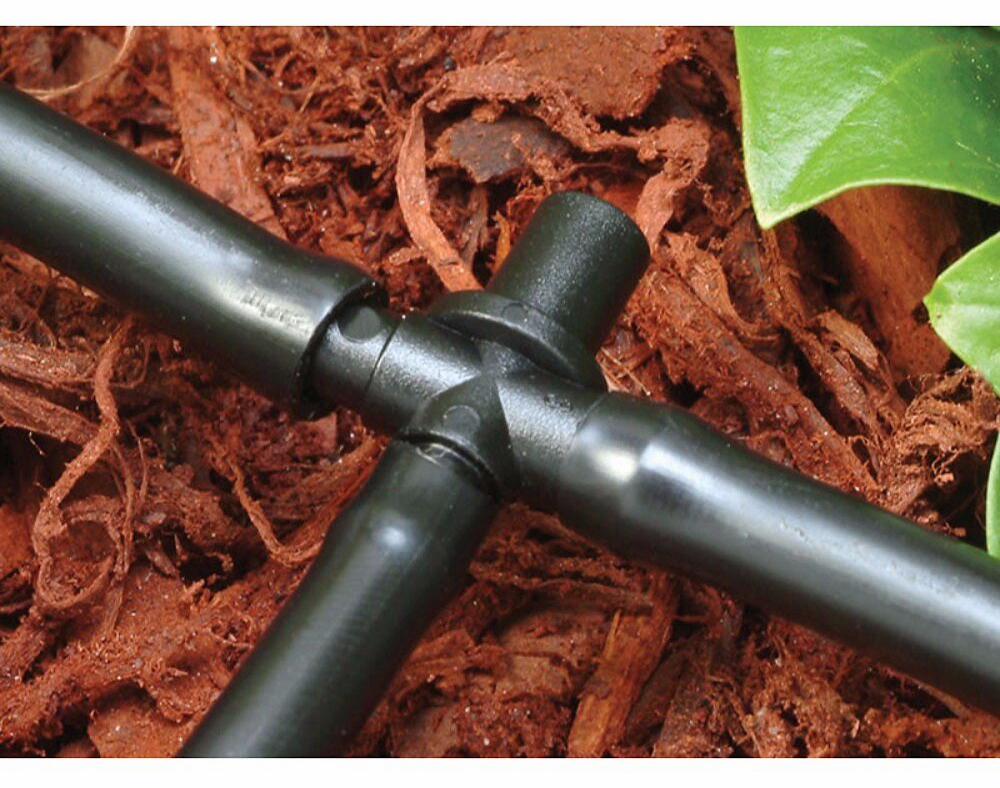 Gallery Image 4 - 4628468