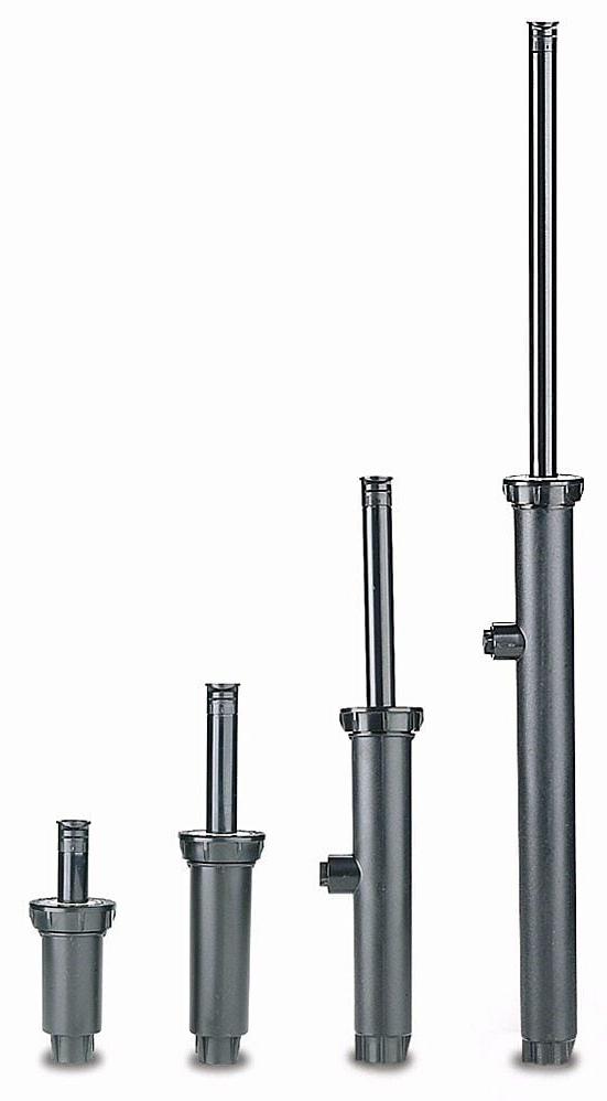 Gallery Image 1 - 4620939