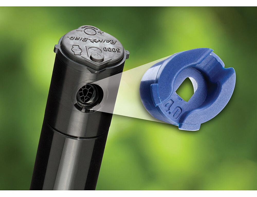 Gallery Image 4 - 4620630