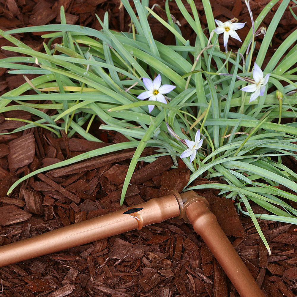 Gallery Image 3 - 4625113