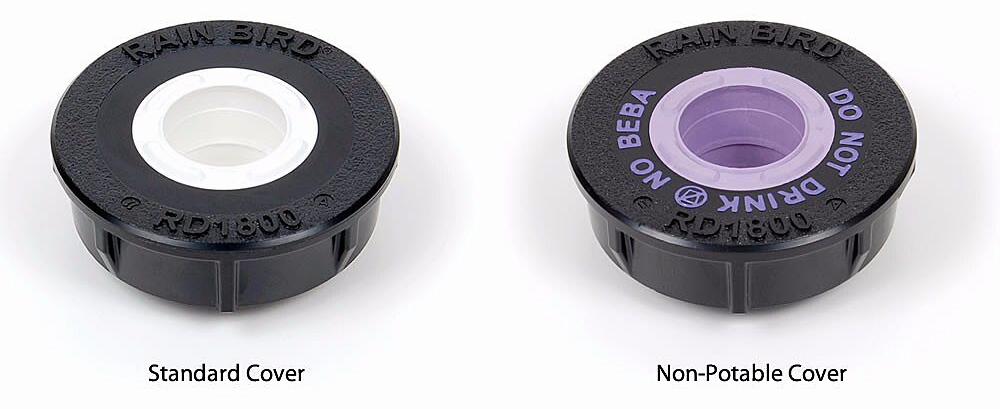 Gallery Image 4 - 4620995