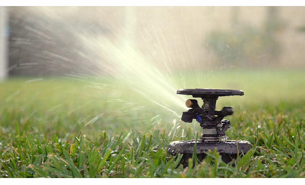 Gallery Image 5 - 4620875