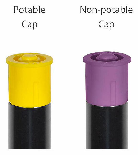 Gallery Image 2 - 4628474