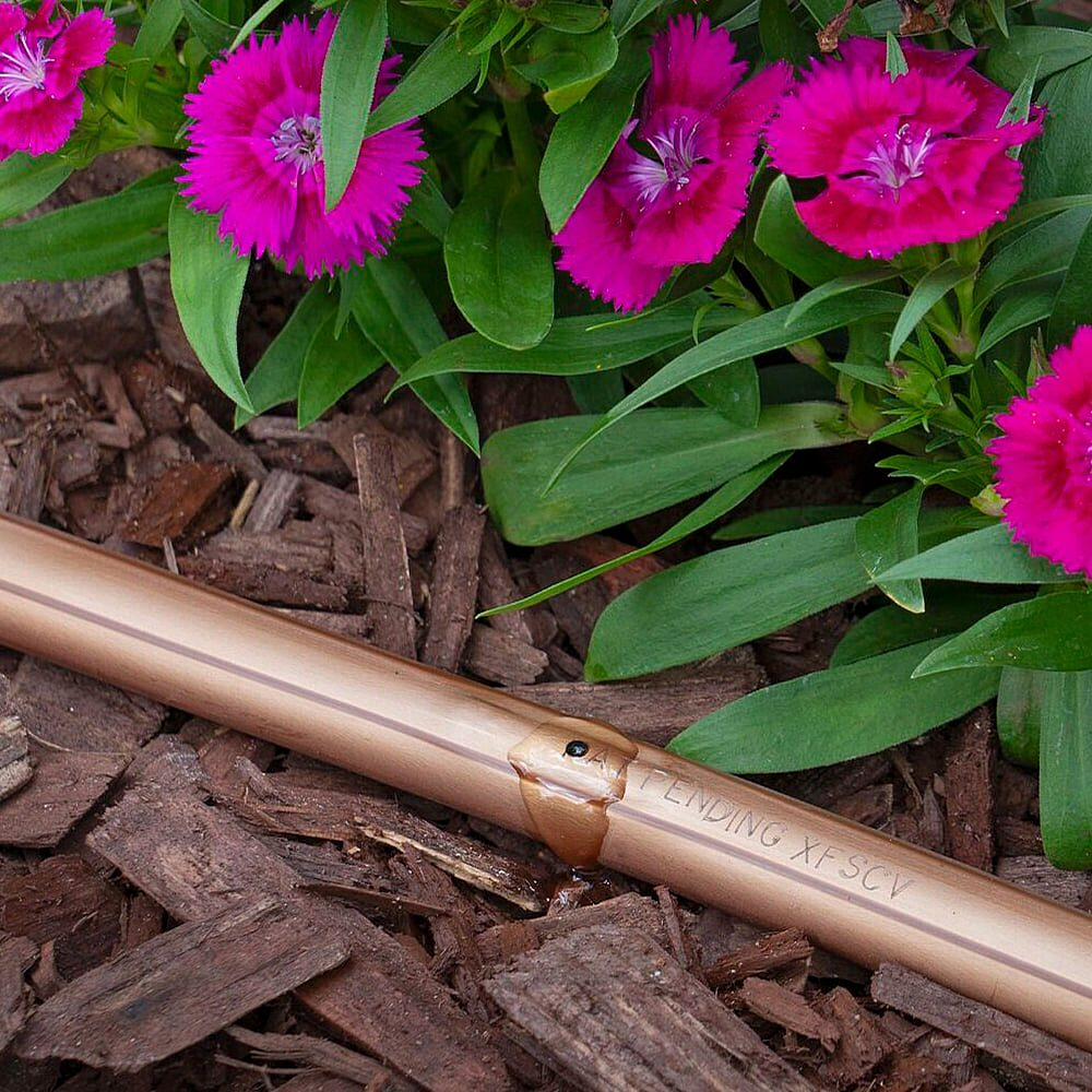 Gallery Image 4 - 4628480