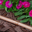 Gallery Image 4 - 4628480