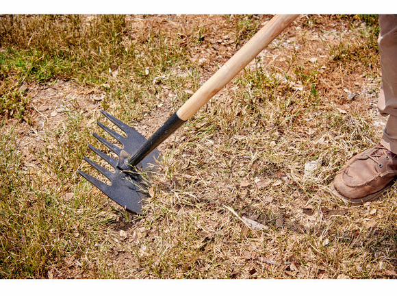 Gallery Image 2 - 5430910