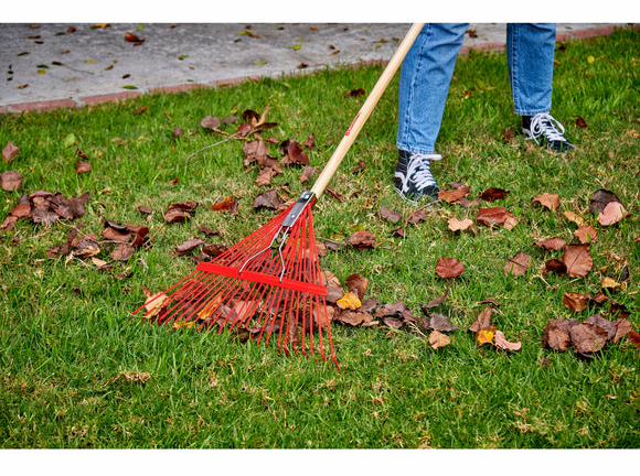 Gallery Image 1 - 5430917