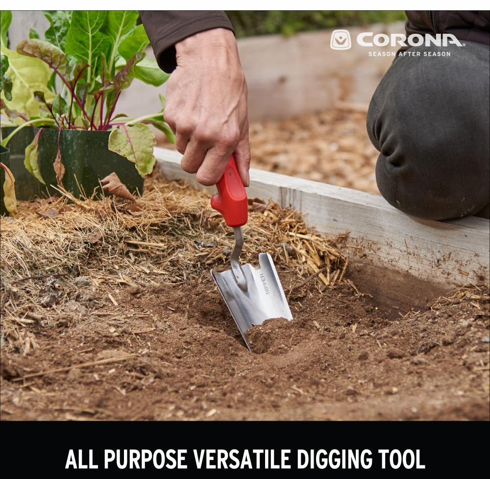 Gallery Image 3 - 5431132