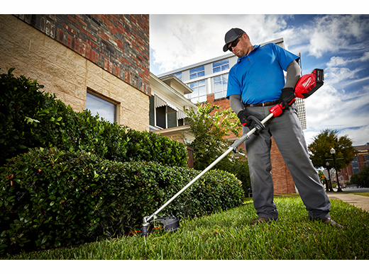 Gallery Image 5 - 4515120