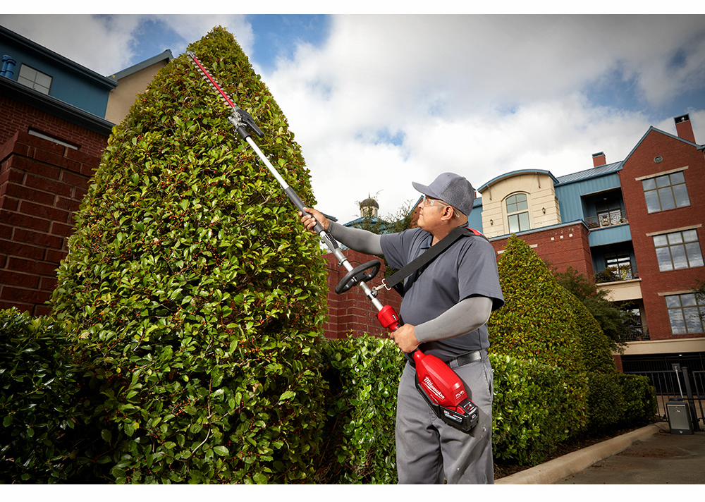 Gallery Image 7 - 4515630