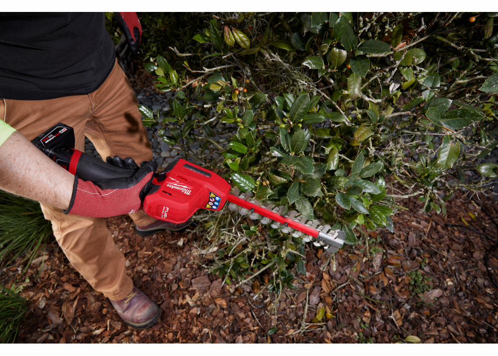 Gallery Image 3 - 4515635