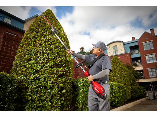 Gallery Image 3 - 4515820