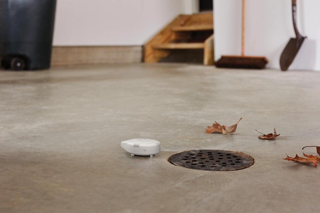 Gallery Image 10 - 5949994