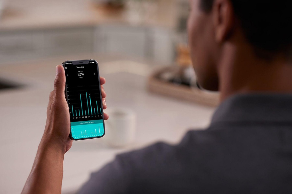 Gallery Image 2 - 2955020