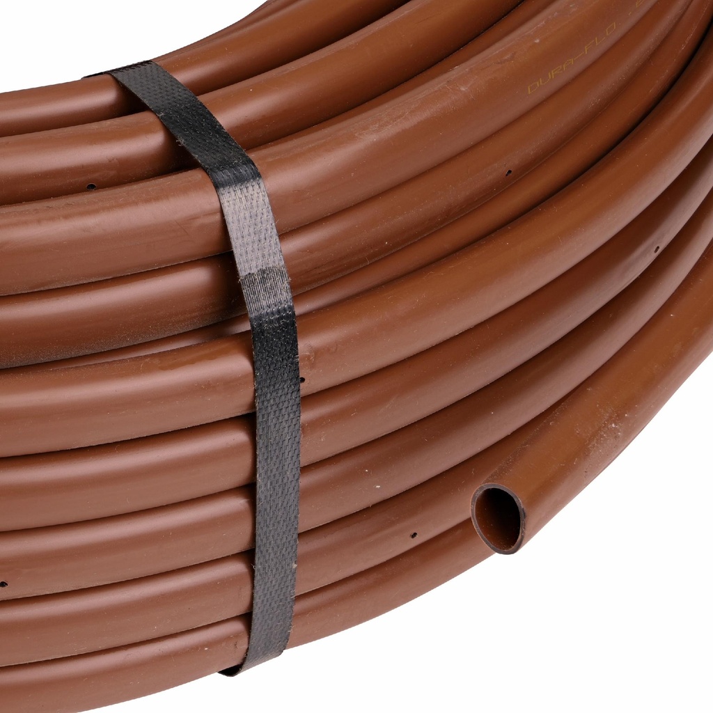 Gallery Image 1 - 4695004