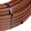 Gallery Image 1 - 4695004