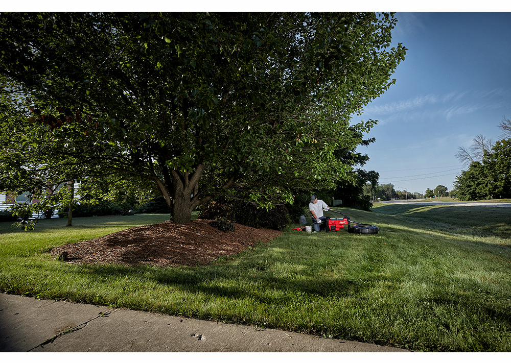 Gallery Image 7 - 4512350