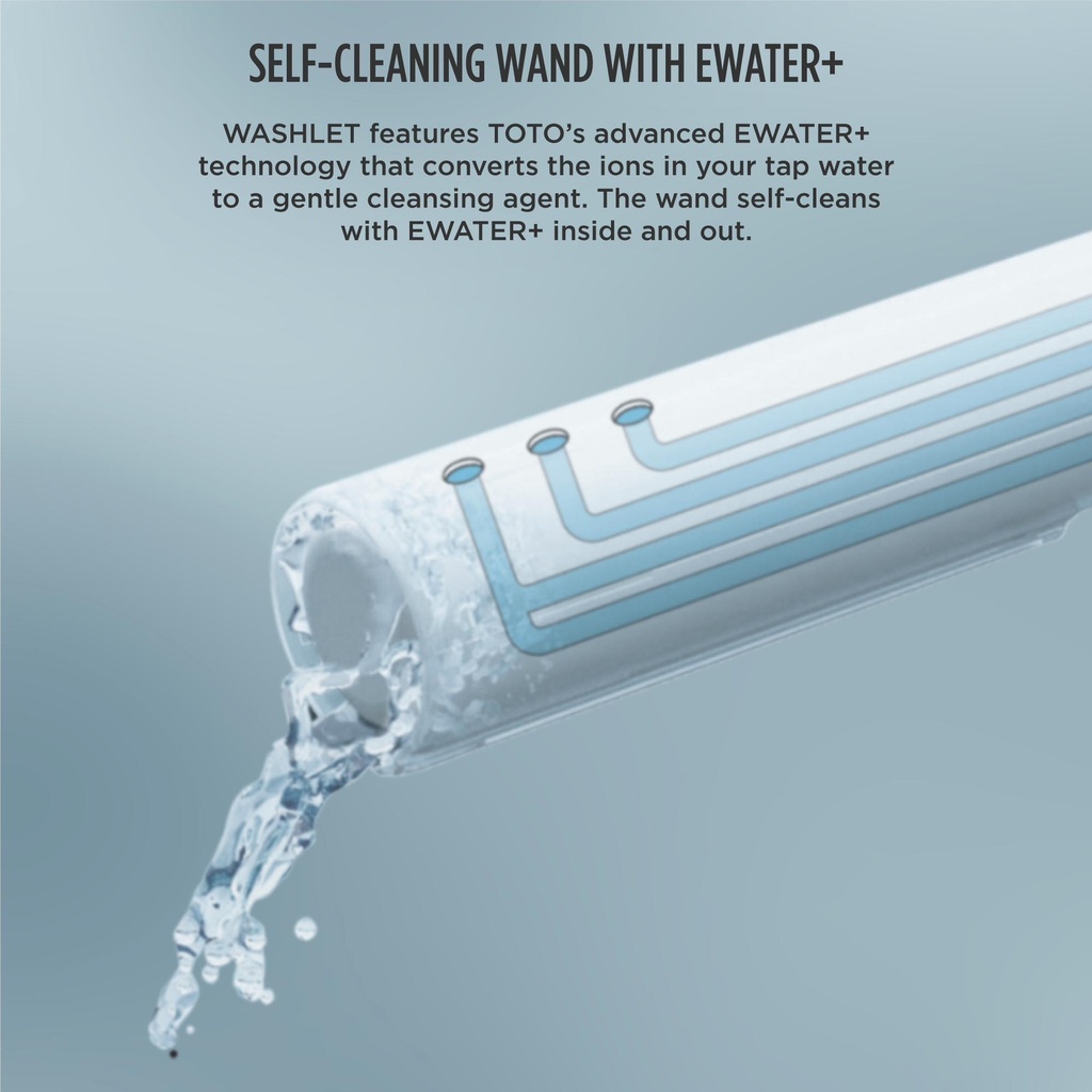 Gallery Image 21 - 1060956